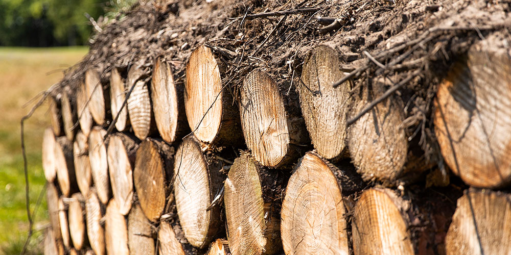 Insekthotel golfbane