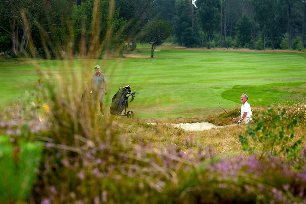 Hvide Klit hul 14 golf